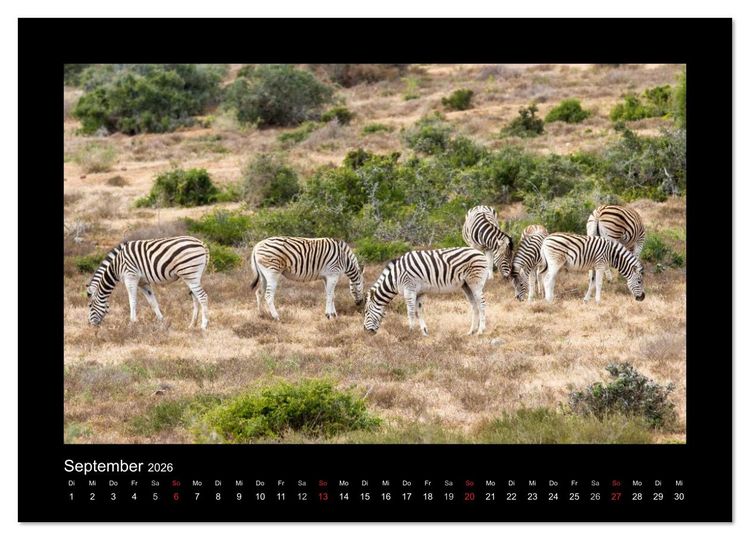 Produktbild: S&uuml;dafrika - Garden Route (Wandkalender 2026 DIN A2 quer), CALVENDO Monatskalender