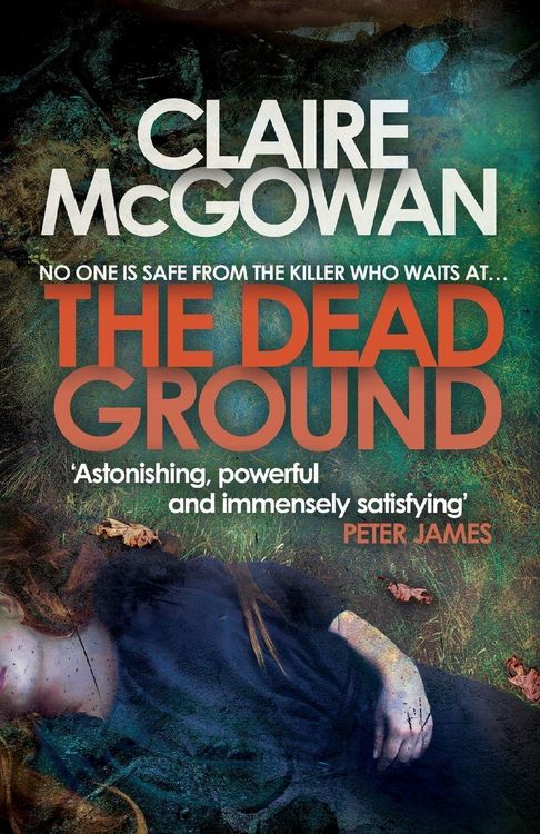 Produktbild: The Dead Ground (Paula Maguire 2)