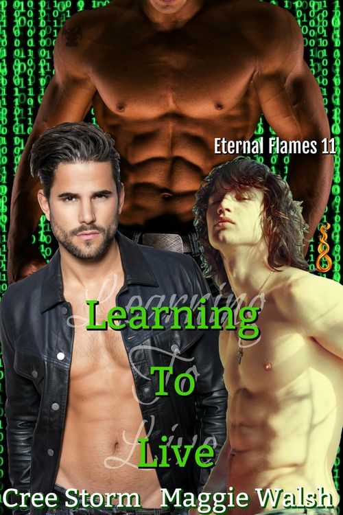 Produktbild: Learning To Live Eternal Flames 11