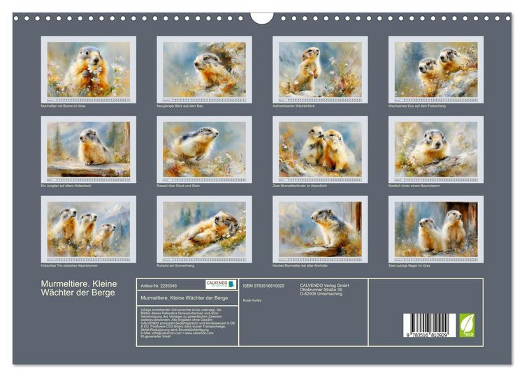 Produktbild: Murmeltiere. Kleine W&auml;chter der Berge (Wandkalender 2027 DIN A3 quer), CALVENDO Monatskalender