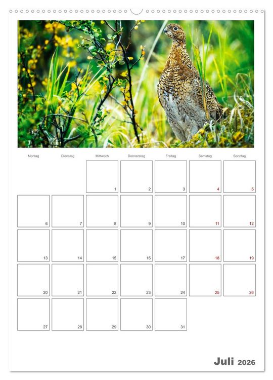 Produktbild: Franz&ouml;sische Alpen, auf den Pfaden des Murmeltiers (Wandkalender 2026 DIN A2 hoch), CALVENDO Monatskalender