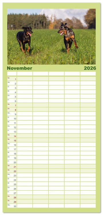 Produktbild: Familienplaner 2026 - Der Beauceron mit 5 Spalten (Wandkalender, 21 x 45 cm) CALVENDO