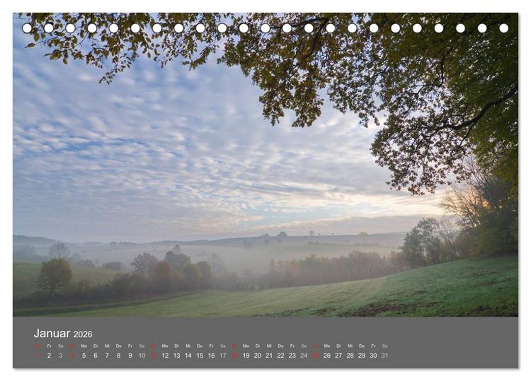Produktbild: B&auml;ume (Tischkalender 2026 DIN A5 quer), CALVENDO Monatskalender