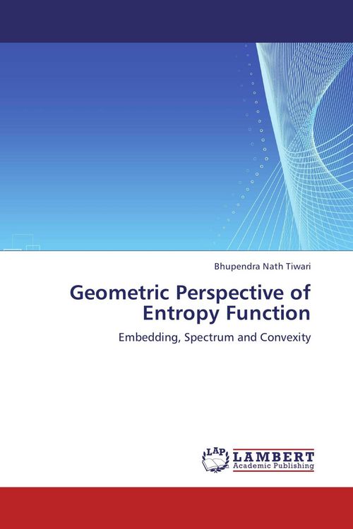 Produktbild: Geometric Perspective of Entropy Function