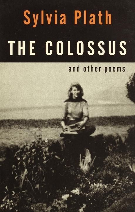 Produktbild: The Colossus
