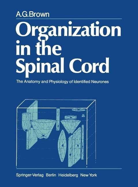 Produktbild: Organization in the Spinal Cord