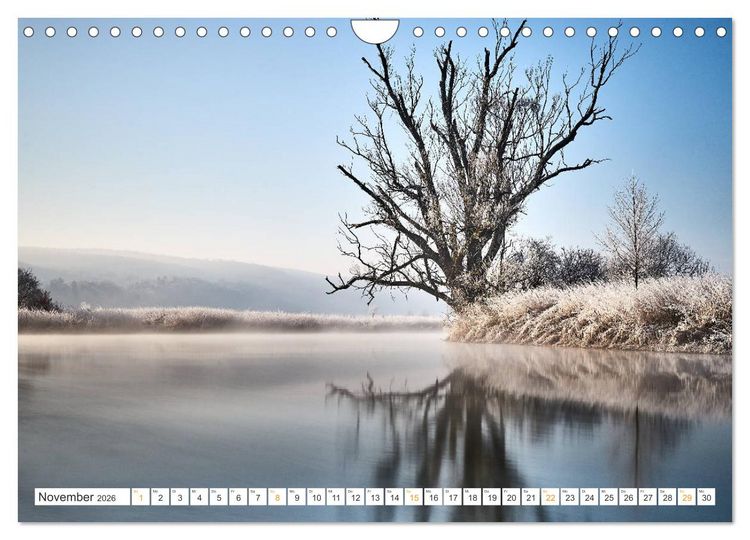 Produktbild: B&auml;ume im Altm&uuml;hltal (Wandkalender 2026 DIN A4 quer), CALVENDO Monatskalender