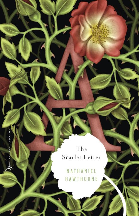 Produktbild: The Scarlet Letter