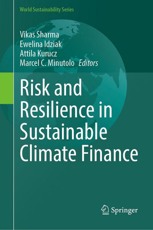 Produktbild: Risk and Resilience in Sustainable Climate Finance