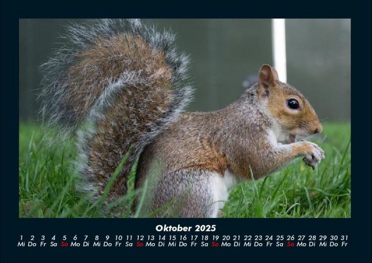 Produktbild: London 2025 Fotokalender DIN A4