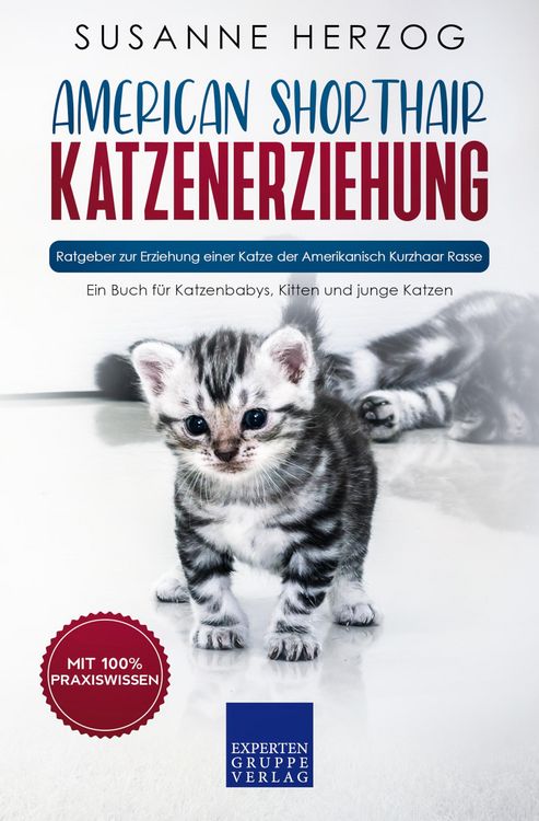 Produktbild: American Shorthair Katzenerziehung - Ratgeber zur Erziehung einer Katze der Amerikanisch Kurzhaar Rasse