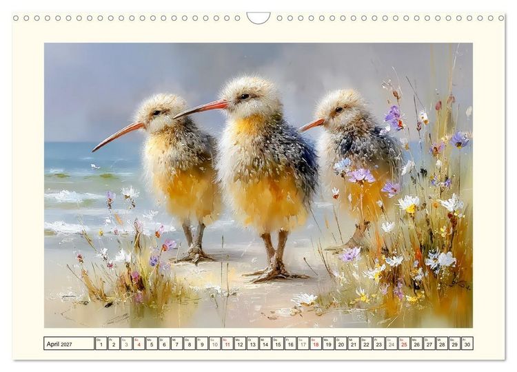Produktbild: Entz&uuml;ckende Kiwis. Neuseelands kleiner Laufvogel am Meer (Wandkalender 2027 DIN A3 quer), CALVENDO Monatskalender