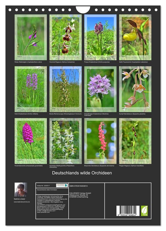 Produktbild: Deutschlands wilde Orchideen (Wandkalender 2026 DIN A4 hoch), CALVENDO Monatskalender
