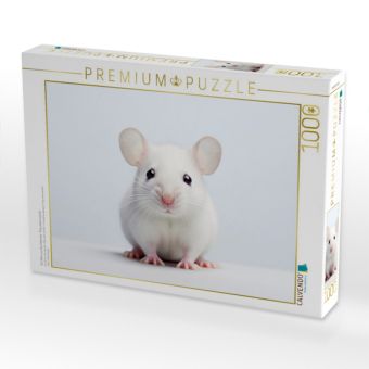 Produktbild: CALVENDO Puzzle Ein Motiv aus dem Kalender "Only white animals" | 1000 Teile Lege-Gr&ouml;&szlig;e 64x48cm Foto-Puzzle f&uuml;r gl&uuml;ckliche Stunden