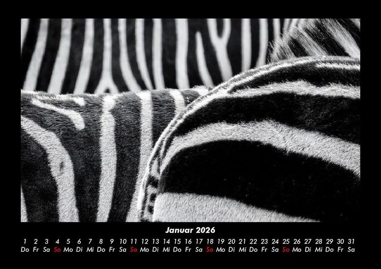 Produktbild: Tierkalender 2026 Fotokalender DIN A3