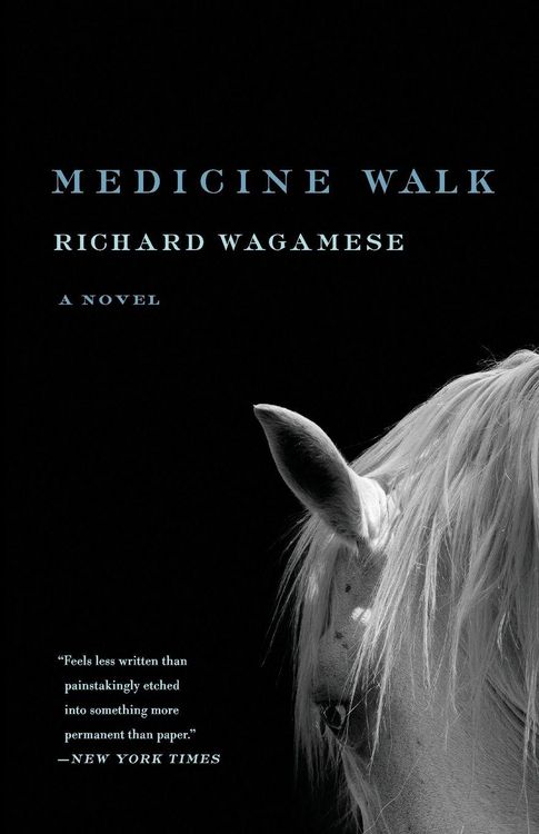 Produktbild: Medicine Walk