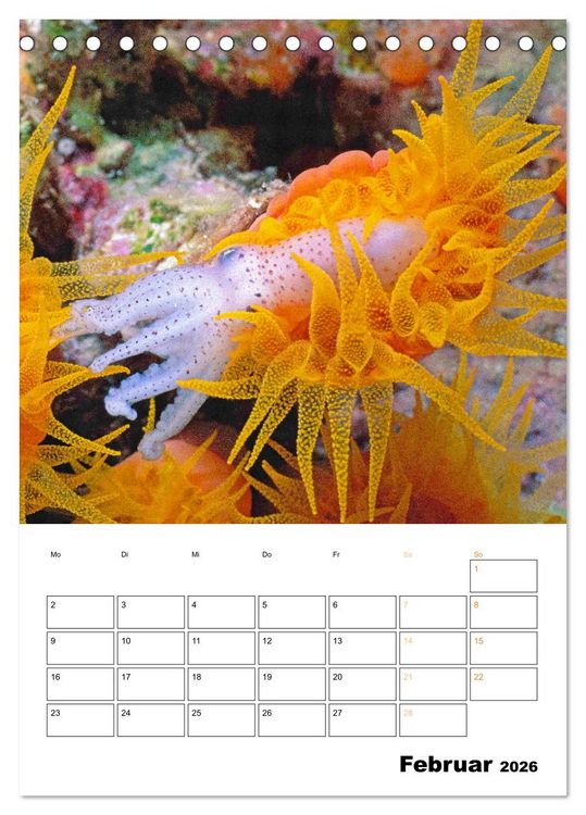 Produktbild: Farbrausch unter Wasser: Fische am Riff (Tischkalender 2026 DIN A5 hoch), CALVENDO Monatskalender