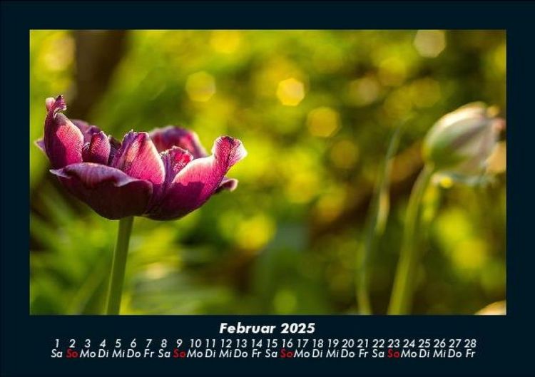 Produktbild: Naturlandschaften 2025 Fotokalender DIN A5