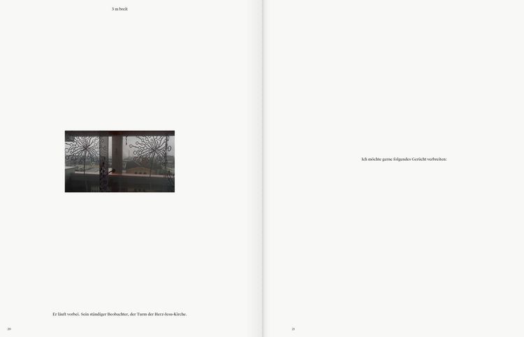 Produktbild: Public Fictions