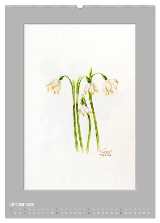 Produktbild: Alpenblumen Aquarelle aus Tirol (hochwertiger Premium Wandkalender 2026 DIN A2 hoch), Kunstdruck in Hochglanz