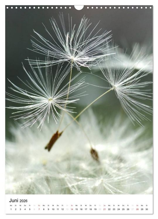 Produktbild: Natur-Romantik (Wandkalender 2026 DIN A3 hoch), CALVENDO Monatskalender