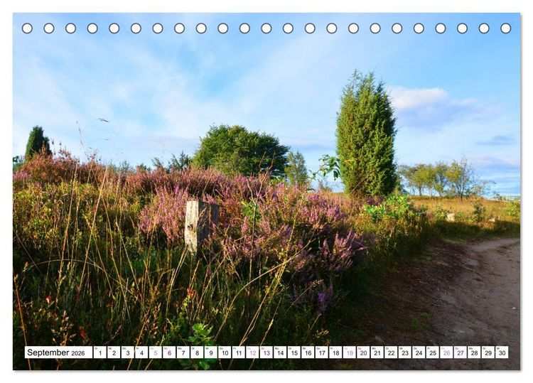 Produktbild: Heidelandschaft im Farbenspiel der Natur (Tischkalender 2026 DIN A5 quer), CALVENDO Monatskalender