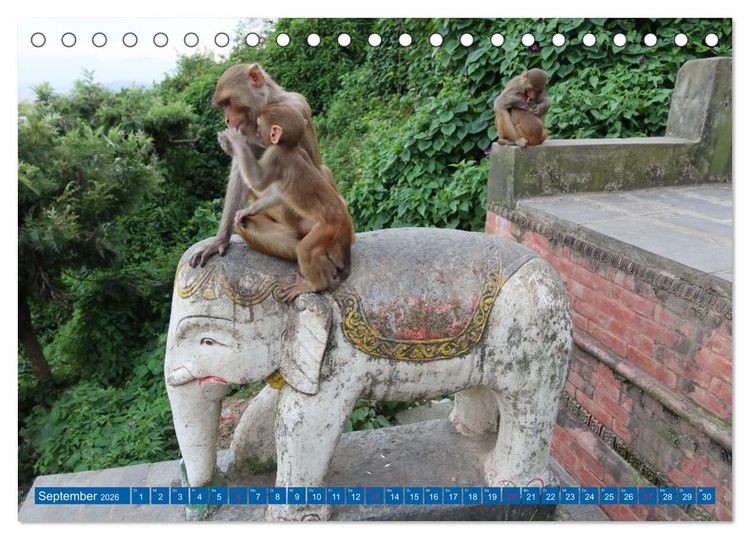 Produktbild: Kalender 2026 der Nepal Kinderhilfe e.V. (Tischkalender 2026 DIN A5 quer), CALVENDO Monatskalender