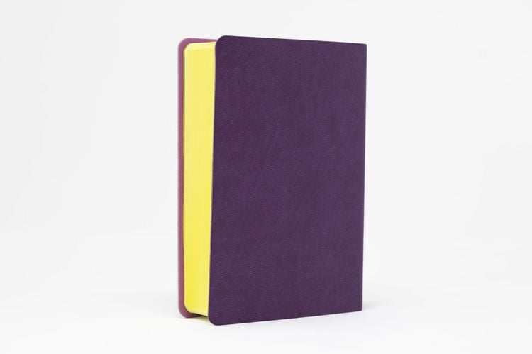 Produktbild: Die Bibel. Senfkorn, Handschmeichler lila