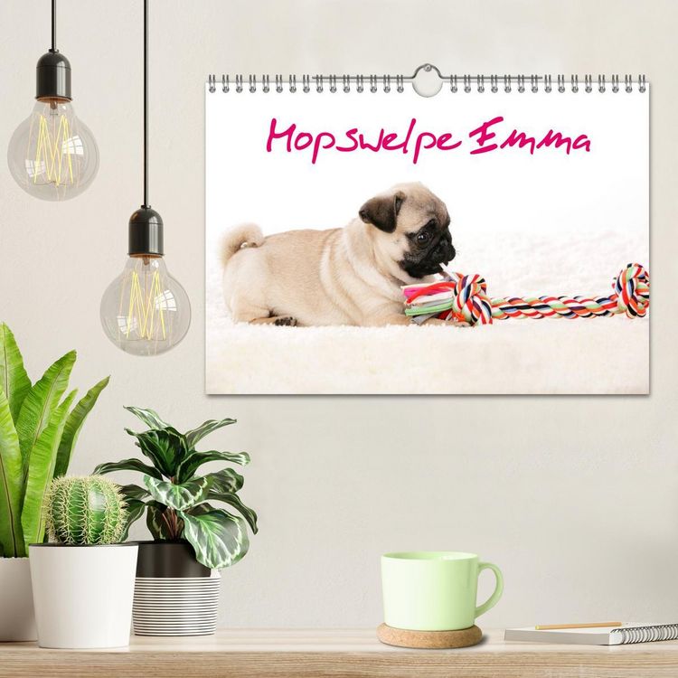 Produktbild: Mopswelpe Emma (Wandkalender 2026 DIN A4 quer), CALVENDO Monatskalender