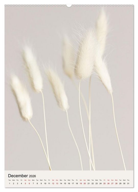 Produktbild: Dried Flowers (High Quality Premium Wall Calendar 2026 DIN A2 portrait),CALVENDO 12 Month Wall Calendar