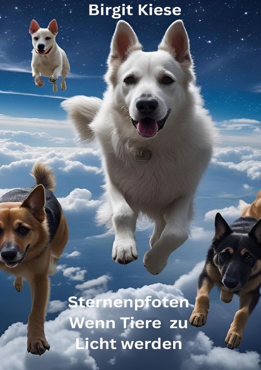 Produktbild: Sternenpfoten - Wenn Tiere zu Licht werden