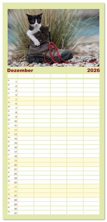Produktbild: Familienplaner 2026 - Kitten auf Entdeckungsreise mit 5 Spalten (Wandkalender, 21 x 45 cm) CALVENDO