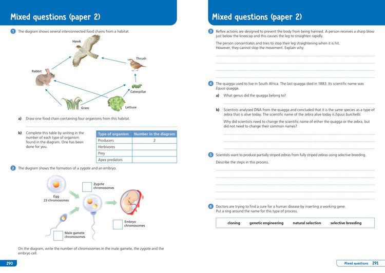 Produktbild: Collins GCSE Science 9-1: Aqa GCSE 9-1 Combined Science Trilogy Higher