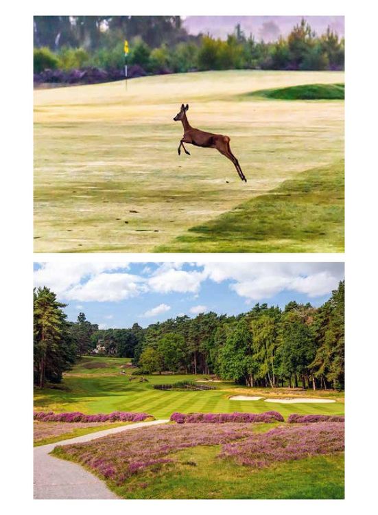 Produktbild: 150 Golfpl&auml;tze, die du gesehen haben musst, bevor du stirbst