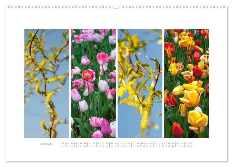 Produktbild: Gartenfreude (Wandkalender 2026 DIN A2 quer), CALVENDO Monatskalender