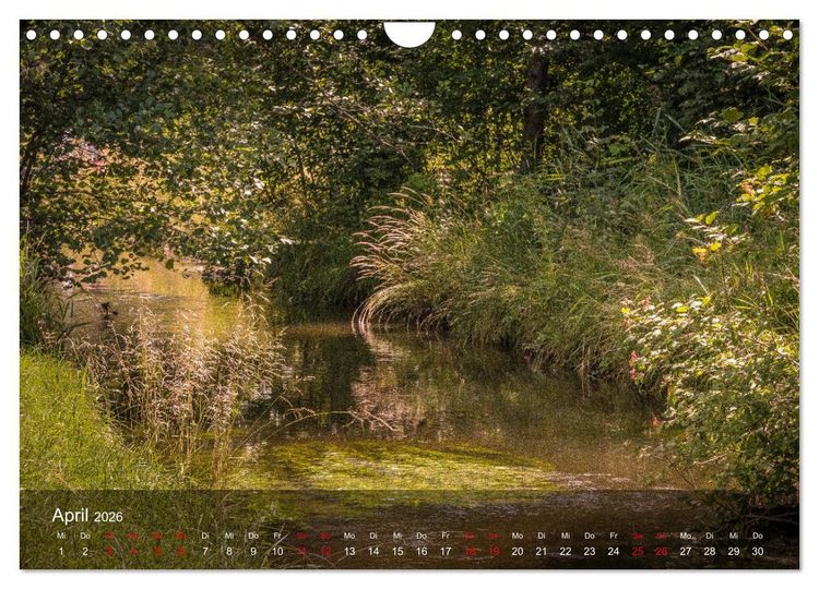 Produktbild: Naturerlebnis Aschau (Wandkalender 2026 DIN A4 quer), CALVENDO Monatskalender