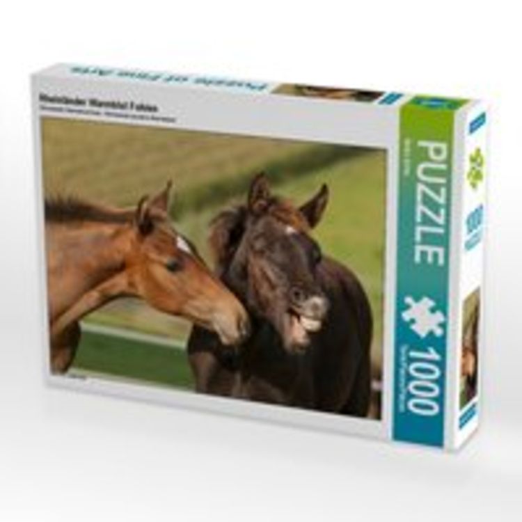 Produktbild: CALVENDO Puzzle Rheinl&auml;nder Warmblut Fohlen 1000 Teile Lege-Gr&ouml;&szlig;e 64 x 48 cm Foto-Puzzle Bild von Meike B&ouml;lts