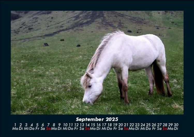 Produktbild: Die Welt der Pferde 2025 Fotokalender DIN A5