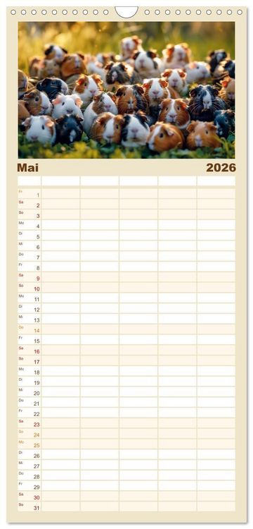 Produktbild: Familienplaner 2026 - Wuschelbande - Ein Jahr voller Meerschweinchen mit 5 Spalten (Wandkalender, 21 x 45 cm) CALVENDO