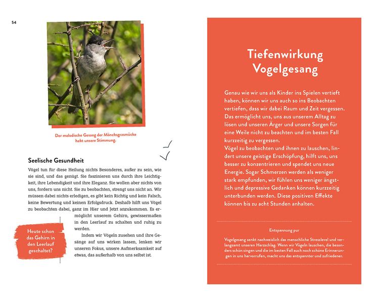 Produktbild: Die Superkr&auml;fte der V&ouml;gel