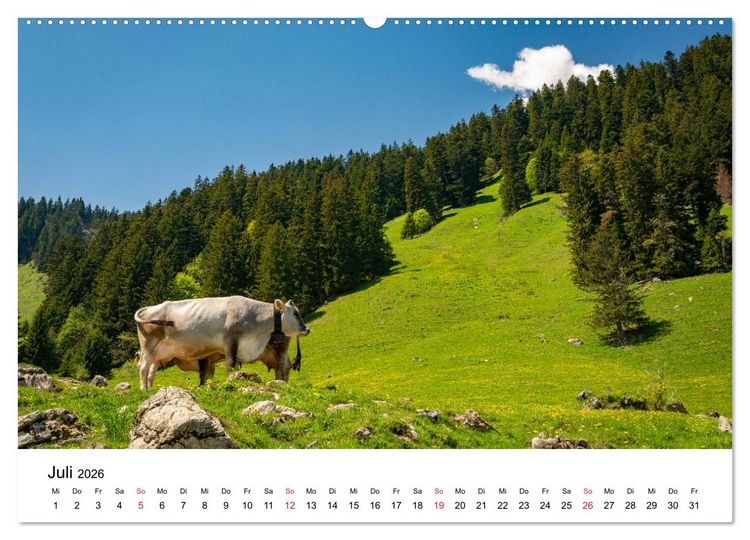 Produktbild: Gesichter der Schweiz - Walliser Weiden (hochwertiger Premium Wandkalender 2026 DIN A2 quer), Kunstdruck in Hochglanz