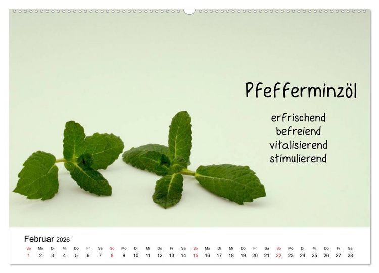 Produktbild: Aromatherapie - D&uuml;fte f&uuml;r die Seele (hochwertiger Premium Wandkalender 2026 DIN A2 quer), Kunstdruck in Hochglanz