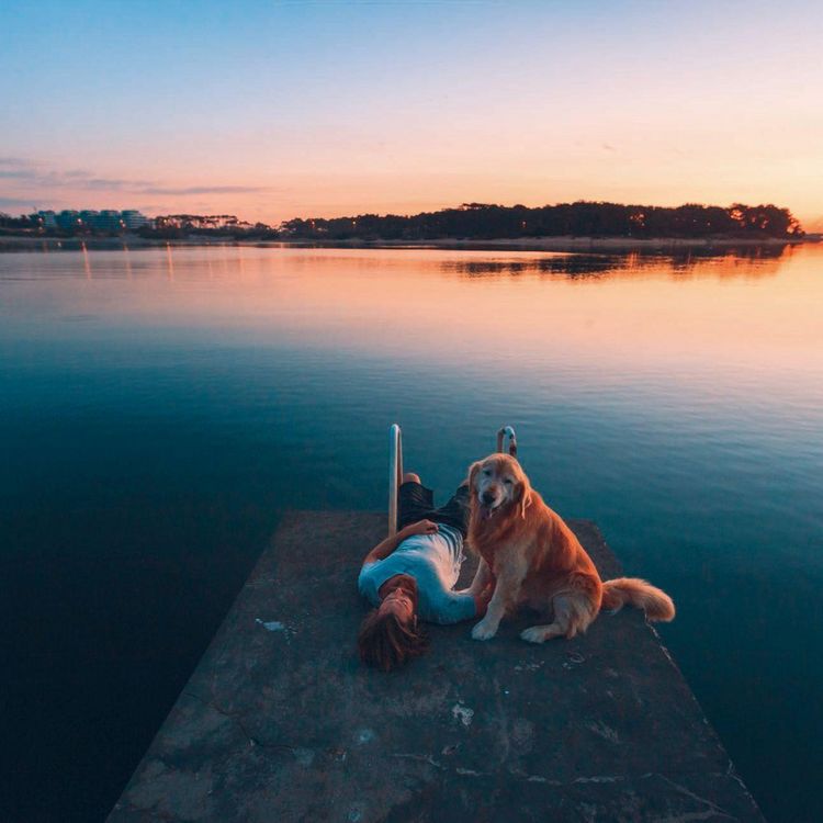 Produktbild: Insta Grammar Dogs