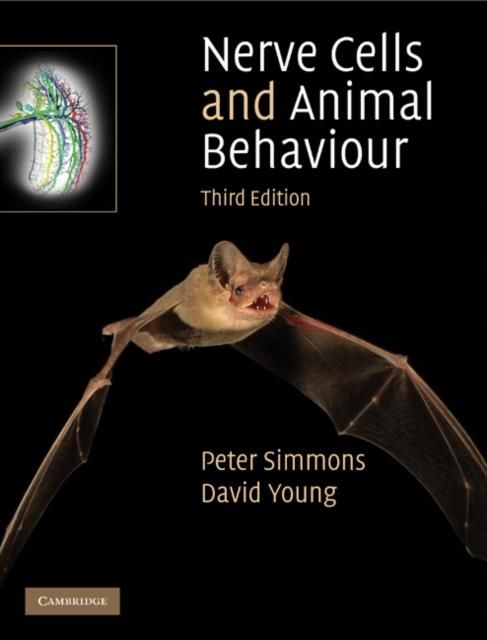 Produktbild: Nerve Cells and Animal Behaviour