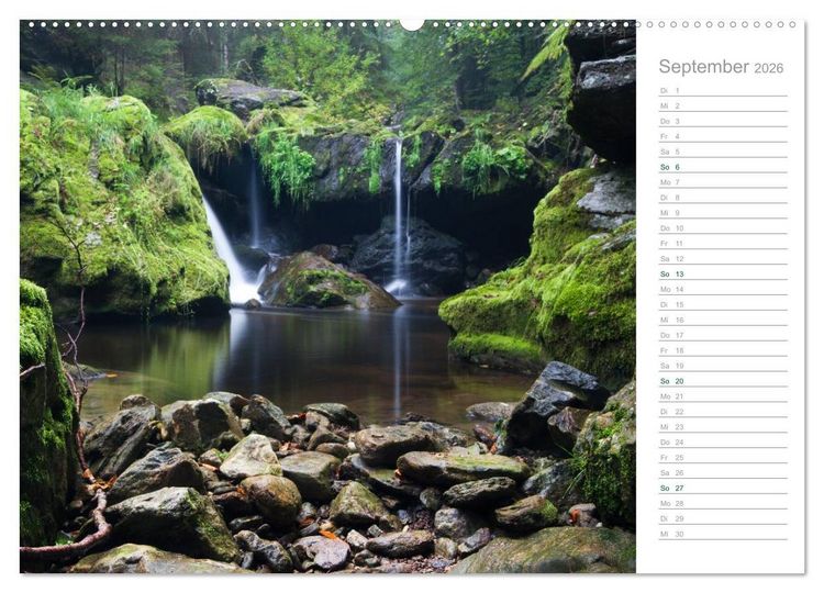 Produktbild: Im Deutschen Wald 2026 - ein Notizkalender (Wandkalender 2026 DIN A2 quer), CALVENDO Monatskalender