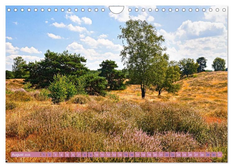 Produktbild: Haltern am See (Wandkalender 2026 DIN A4 quer), CALVENDO Monatskalender