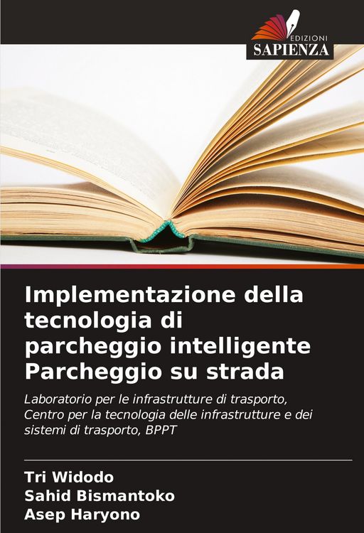 Produktbild: Implementazione della tecnologia di parcheggio intelligente Parcheggio su strada