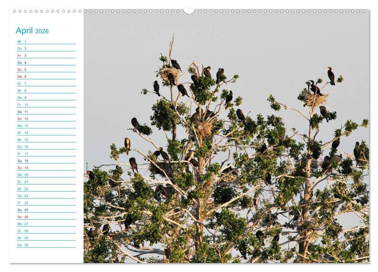 Produktbild: Urlaubsparadies Scharm&uuml;tzelsee (hochwertiger Premium Wandkalender 2026 DIN A2 quer), Kunstdruck in Hochglanz