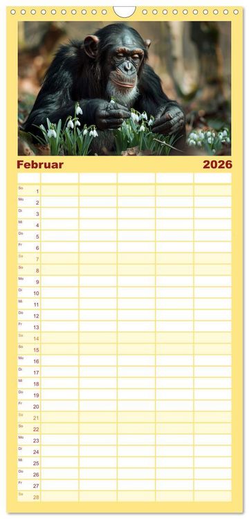 Produktbild: Familienplaner 2026 - Schimpansen - Ein Jahr mit Menschenaffen. mit 5 Spalten (Wandkalender, 21 x 45 cm) CALVENDO