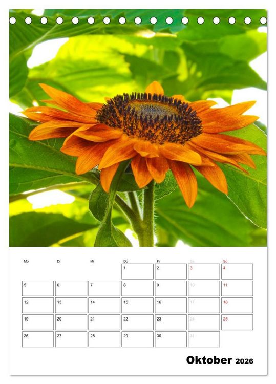 Produktbild: Strahlende Sonnenblumen (Tischkalender 2026 DIN A5 hoch), CALVENDO Monatskalender